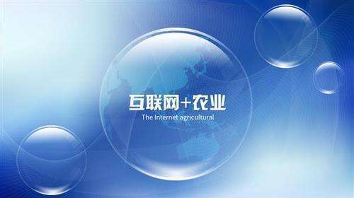 互聯(lián)網(wǎng) 推動(dòng)農(nóng)業(yè)向現(xiàn)代化轉(zhuǎn)型 助力鄉(xiāng)村振興